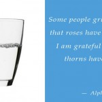 vaso-quote-22